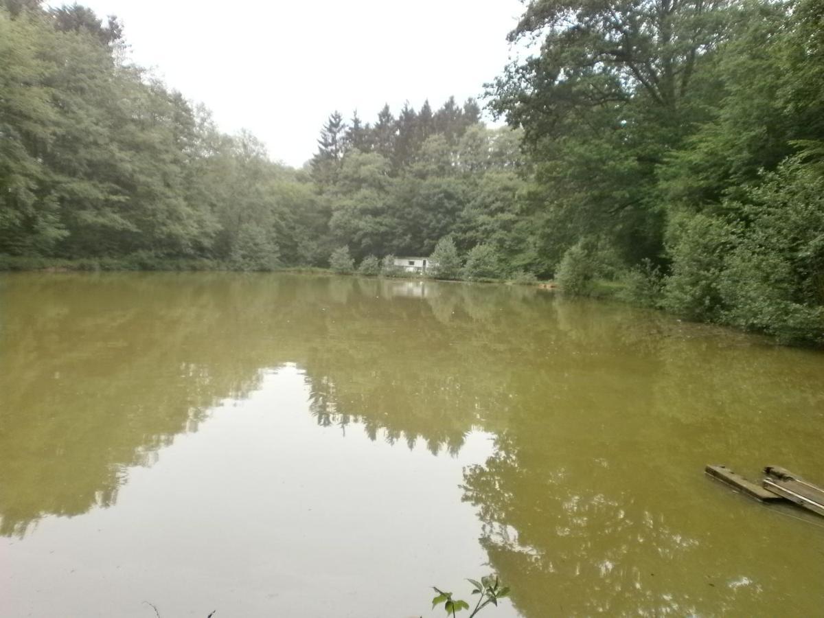 Gite Le Sous-Bois Cerfontaine Buitenkant foto