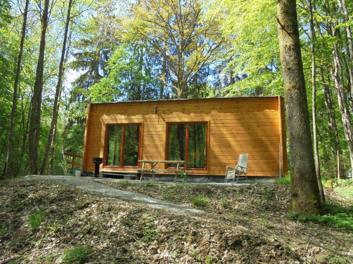 Gite Le Sous-Bois Cerfontaine Buitenkant foto